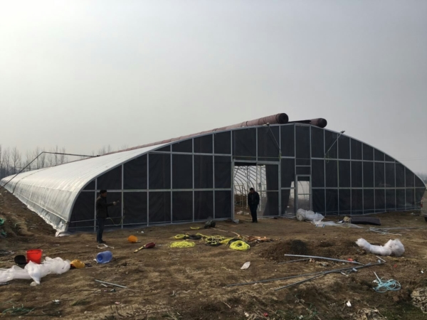 平輿24米大拱棚