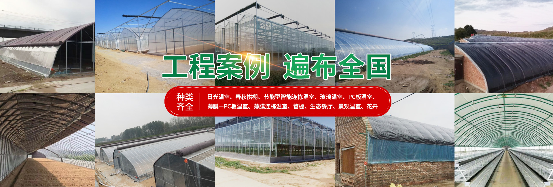安陽(yáng)市銀豐農(nóng)業(yè)科技有限公司_PC
