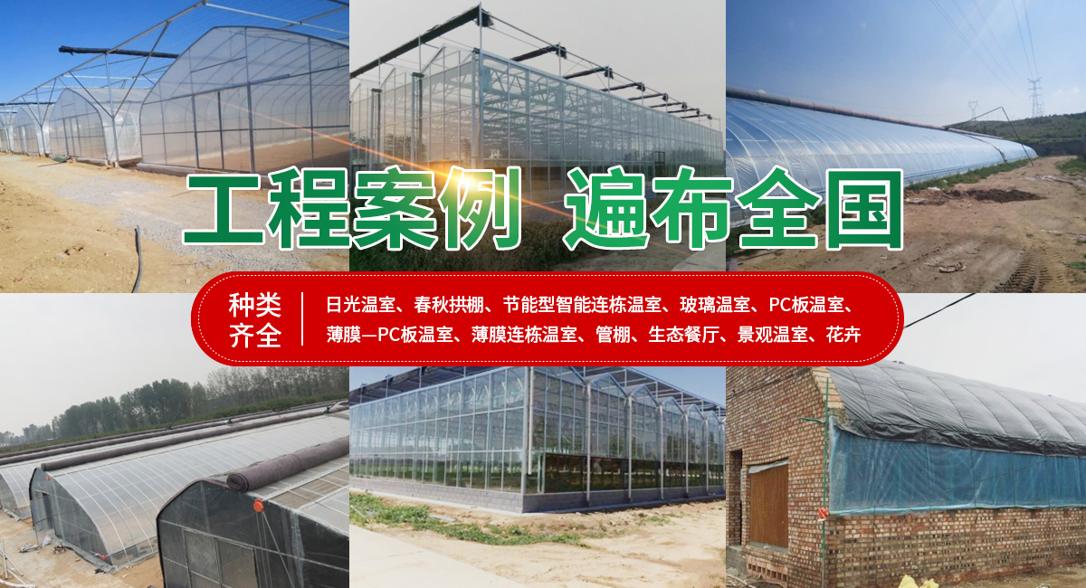 安陽(yáng)市銀豐農(nóng)業(yè)科技有限公司_M