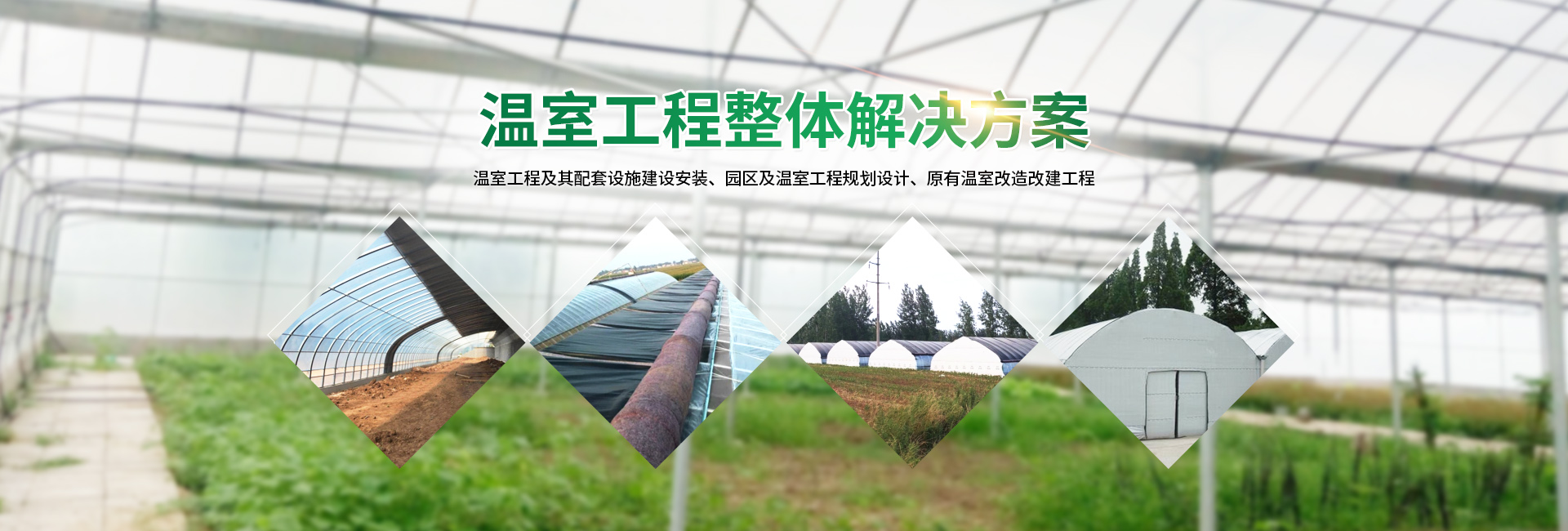 安陽(yáng)市銀豐農(nóng)業(yè)科技有限公司_PC