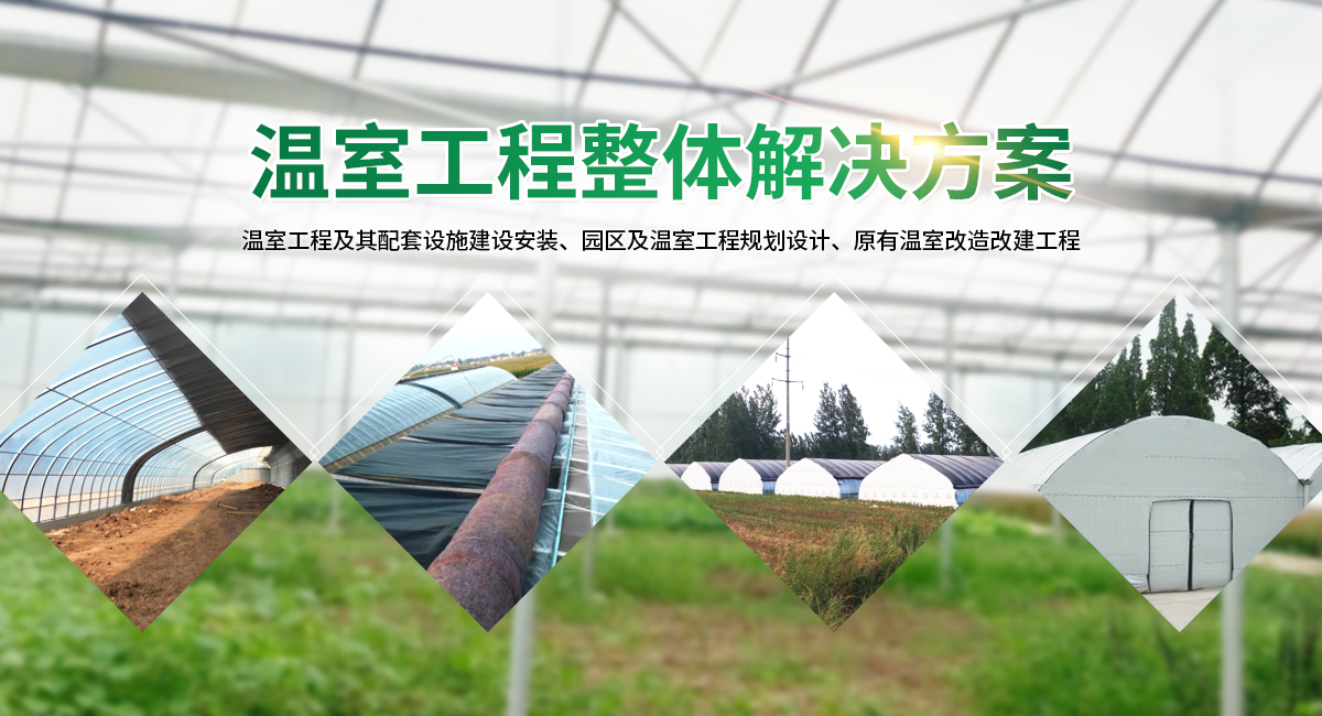 安陽(yáng)市銀豐農(nóng)業(yè)科技有限公司_M